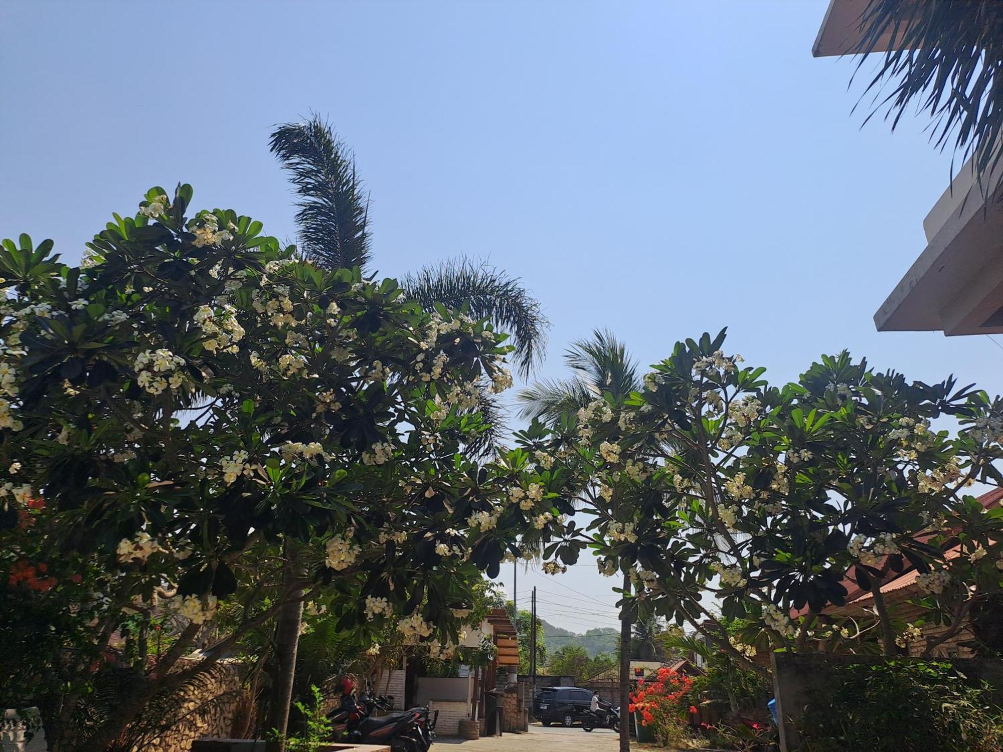 Kutabay Homestay Kuta  Εξωτερικό φωτογραφία